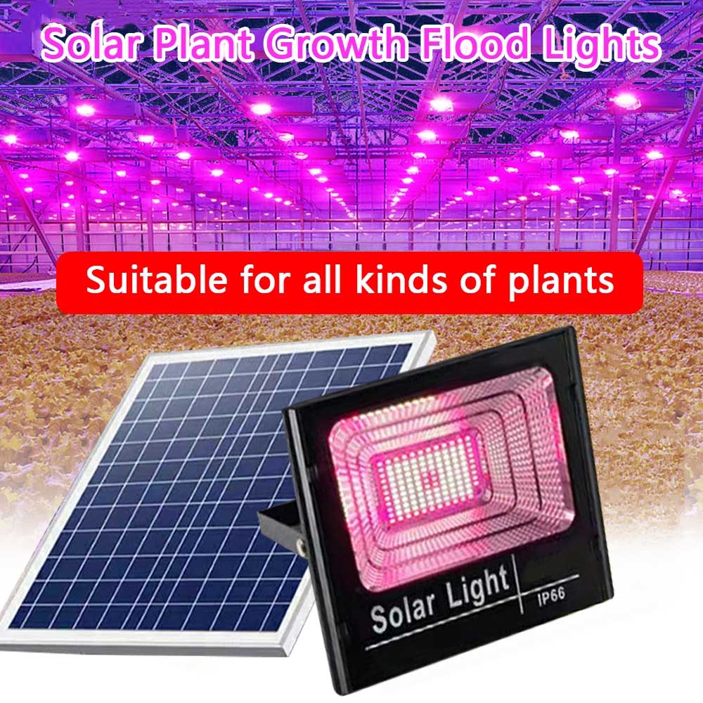 Solar LED Grow Light Full Spec - Outdoor Power And Plant recension och pris